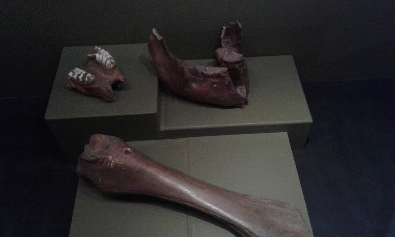 Tenango. Museo Román Piña Chan Para ver más imágenes de este lugar, dale clic a este enlace: